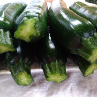 新潟産★ズッキーニ 2キロ(野菜)