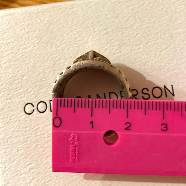 CODY SANDERSON  コディサンダーソン Mt.fuji リング メンズのアクセサリー(リング(指輪))の商品写真