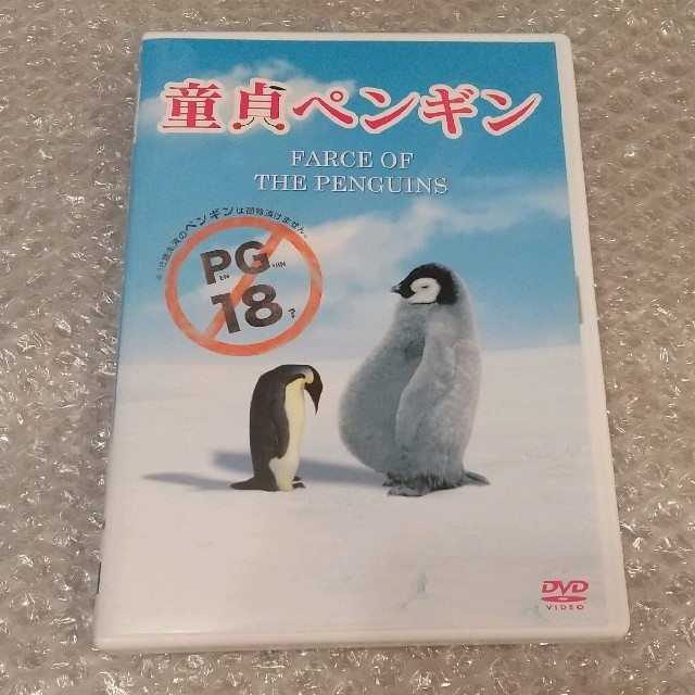 Dvd 童貞ペンギン の通販 By さるぼ S Shop ラクマ Dvd 童貞ペンギン の通販 By さるぼ S Shop ラクマ