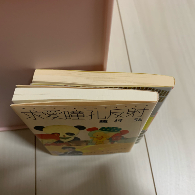 求愛瞳孔反射・世界音痴 エンタメ/ホビーの本(文学/小説)の商品写真