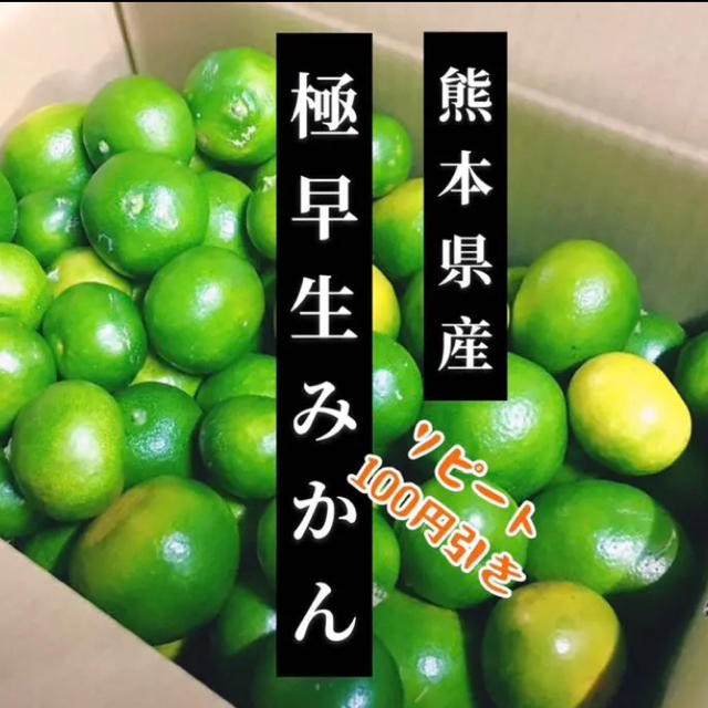 熊本県産　極早生　5k 食品/飲料/酒の食品(フルーツ)の商品写真