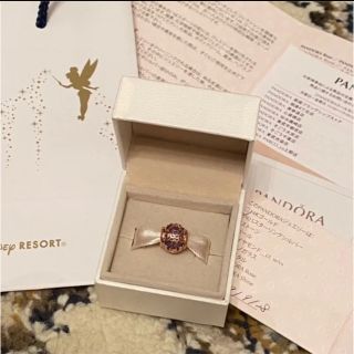 Disney - パンドラ pandora チャーム ディズニー パーク限定