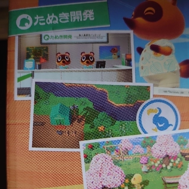 Nintendo Switch あつまれどうぶつの森セット　同梱版 エンタメ/ホビーのゲームソフト/ゲーム機本体(家庭用ゲーム機本体)の商品写真