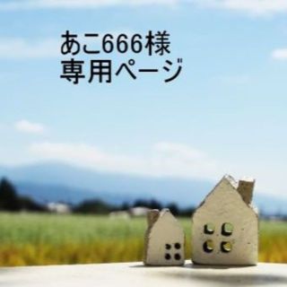 「あこ666様 専用ページ」(ブラ&ショーツセット)