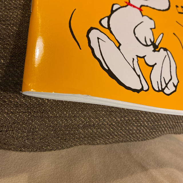 SNOOPY(スヌーピー)のスヌーピー　家計簿 エンタメ/ホビーの本(住まい/暮らし/子育て)の商品写真