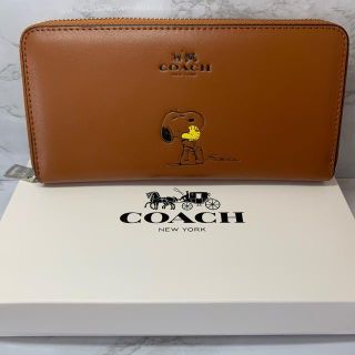 コーチ(COACH)の【フォロー割10%】 COACH×PEANUTS スヌーピー ウッドストック(財布)