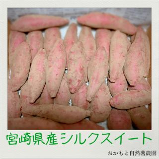 宮崎県産　シルクスイート　さつまいも(野菜)