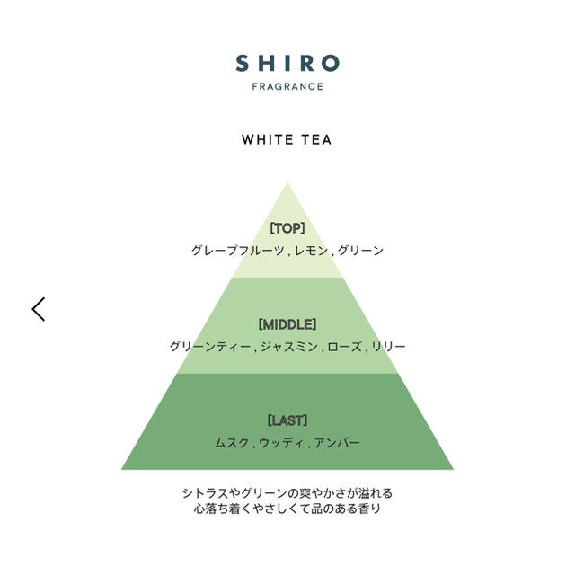 shiro(シロ)の【新品未使用】SHIRO ホワイトティー ヘアミスト コスメ/美容のヘアケア/スタイリング(ヘアウォーター/ヘアミスト)の商品写真