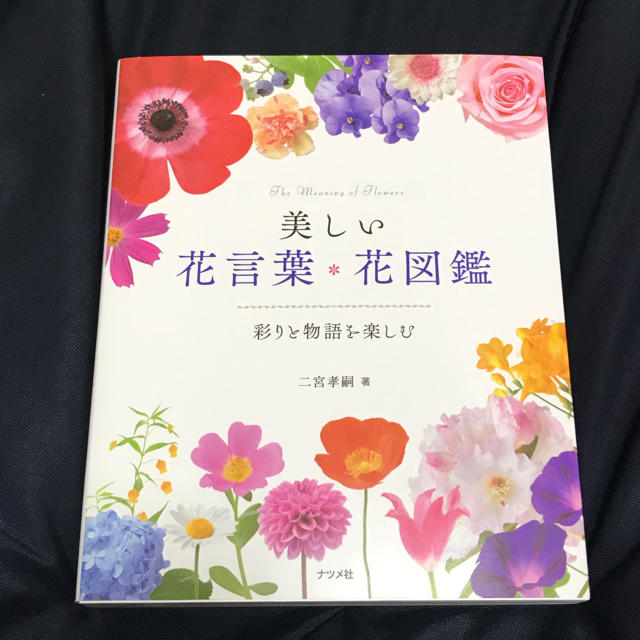 美しい花言葉 花図鑑 彩りと物語を楽しむの通販 By ラモ ラクマ