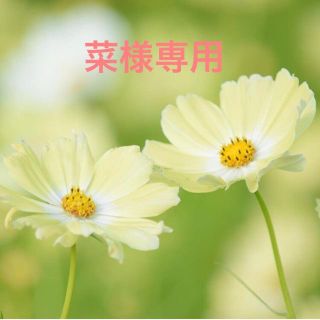 菜様専用(カラージェル)