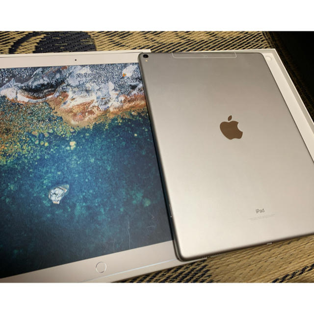 日本値下 iPad pro12.9 inch 第二世代 256GBホームボタンあり スマホ