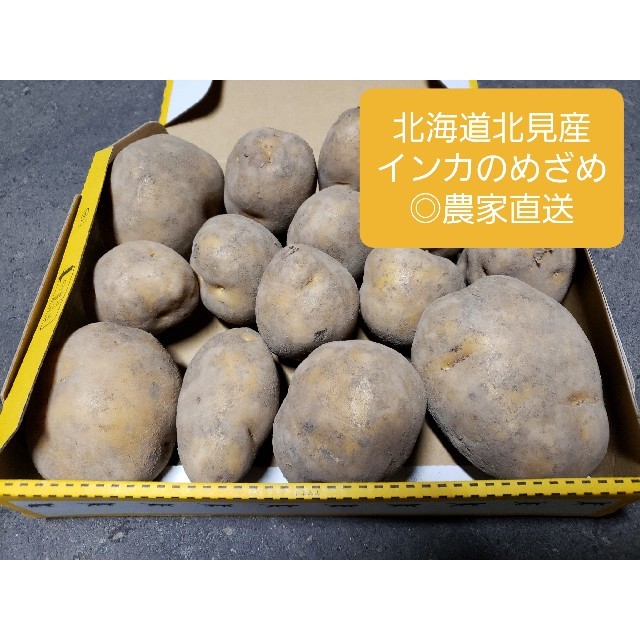 北海道 北見産 じゃがいも インカのめざめ ◎農家直送 食品/飲料/酒の食品(野菜)の商品写真