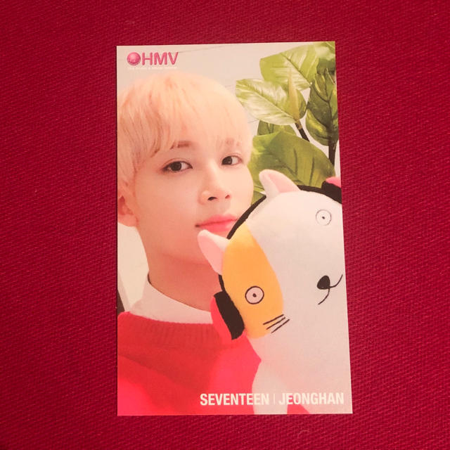 SEVENTEEN(セブンティーン)のSEVENTEEN HMV ジョンハン トレカ ぬいぐるみ エンタメ/ホビーのタレントグッズ(アイドルグッズ)の商品写真