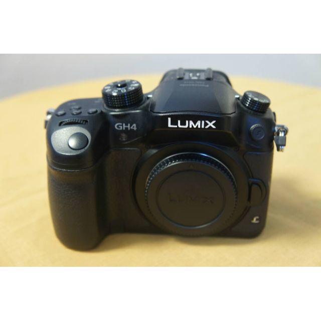 美品 Panasonic DMC-GH4 ボディ 4K動画 ショット4551