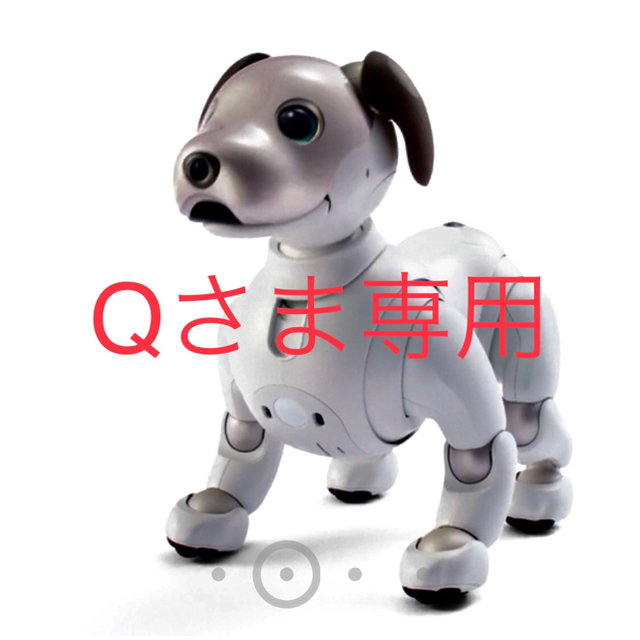 SONY aibo ERS-1000　新型アイボ