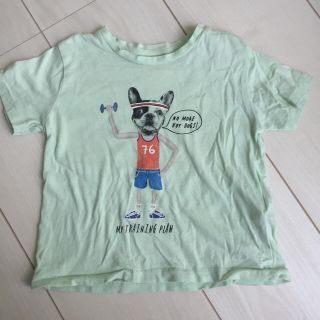 ザラキッズ(ZARA KIDS)のザラベビー ワンちゃんトップス(Ｔシャツ)