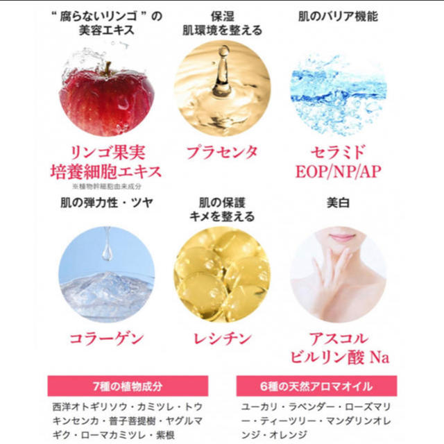 Flosca 炭酸パック25日分 - www.bioheuris.com