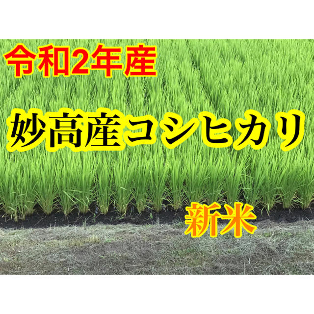 ルカポン様専用【農家直送】令和3年度 新米 新潟・妙高•原通産