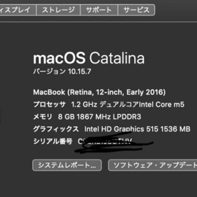 Apple(アップル)のMacBook 2016 スペースグレイ　512GB スマホ/家電/カメラのPC/タブレット(ノートPC)の商品写真