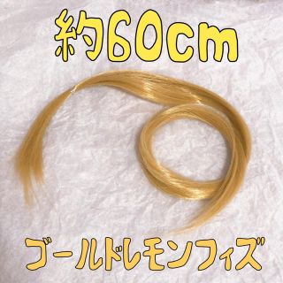 コスプレウィッグ 毛束 エクステ 60cm(その他)