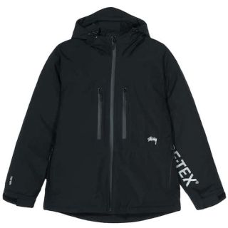 ステューシー(STUSSY)の本日限定破格！stussy gore-tex ストューシー　ゴアテックス(ダウンジャケット)