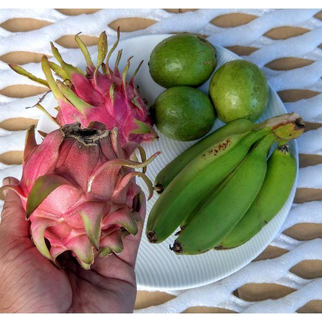 旬のフルーツセット♪ 台湾系島バナナ、ドラゴンフルーツ、グァバ 食品/飲料/酒の食品(フルーツ)の商品写真