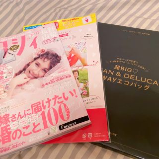 ゼクシィ2020年 11月号　付録(結婚/出産/子育て)