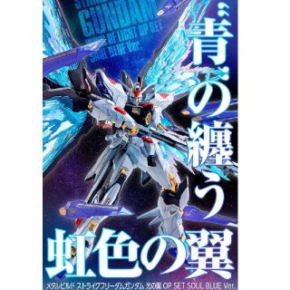 バンダイ(BANDAI)のMETAL BUILD ストライクフリーダムガンダム 光の翼オプションセット(模型/プラモデル)