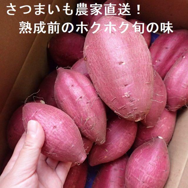 新芋シルクスイート掘りたて丸形5.5ｋｇＬ～Ｓサイズ千葉県産さつまいも農家直送 食品/飲料/酒の食品(野菜)の商品写真