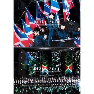 ケヤキザカフォーティーシックス(欅坂46(けやき坂46))の欅共和国2017 限定ポスター2枚セット(アイドルグッズ)