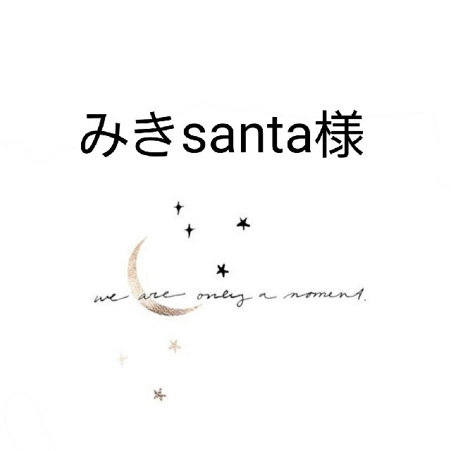 みきsanta様・7点 贅沢 51.0%OFF www.gold-and-wood.com