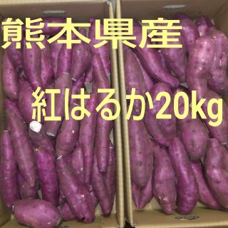 熊本県産紅はるか20kg(野菜)