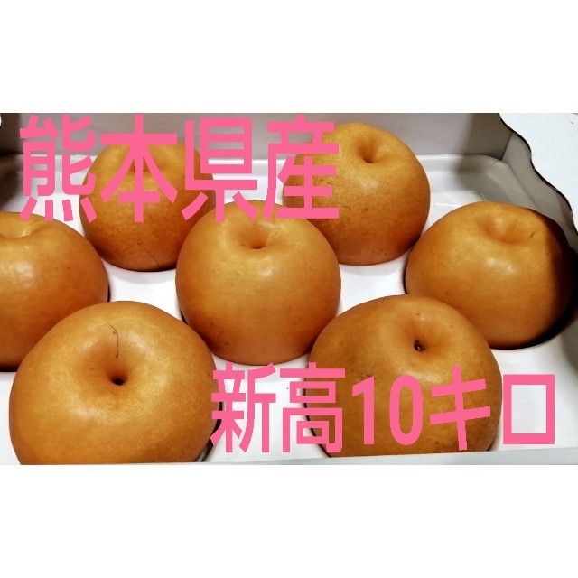 熊本県産新高梨10kg　フルーツ