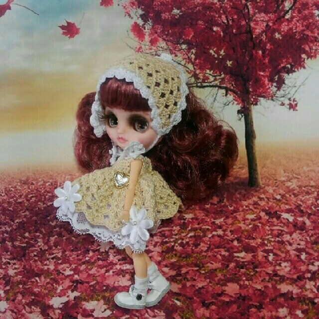 【SOLD OUT 】アイシードールカスタムブライス