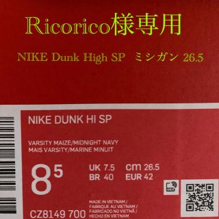 ナイキ(NIKE)の【専用】Ricorico様　専用(スニーカー)