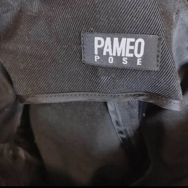 PAMEO POSE(パメオポーズ)のPAMEO POSE  CHIMERA SKIRT レディースのスカート(ひざ丈スカート)の商品写真