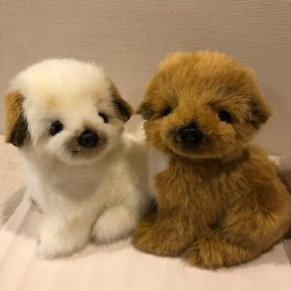 子犬ぬいぐるみ　茶色&クリーム(ぬいぐるみ)