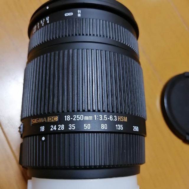 SIGMA 18-250mm F3.5-6.3 DC OS HSM (ソニー）