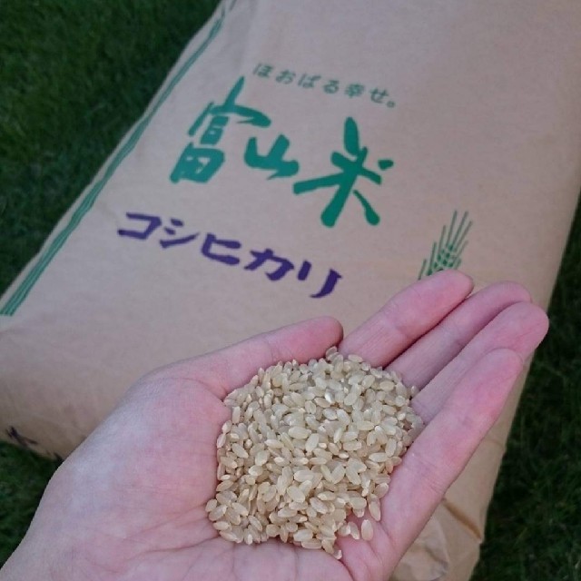 新米　コシヒカリ　富山県産コシヒカリ　玄米10kg　4000円 3