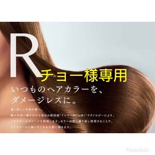 チョー様専用【Ｒ×2セット,BLno.1×100g】(ブリーチ剤)