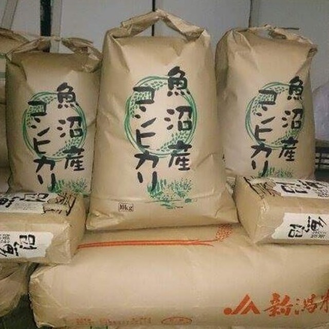 南魚沼産コシヒカリしおざわ西山地区　令和2年産　5160円引き　玄米30㎏　【返品?交換対象商品】