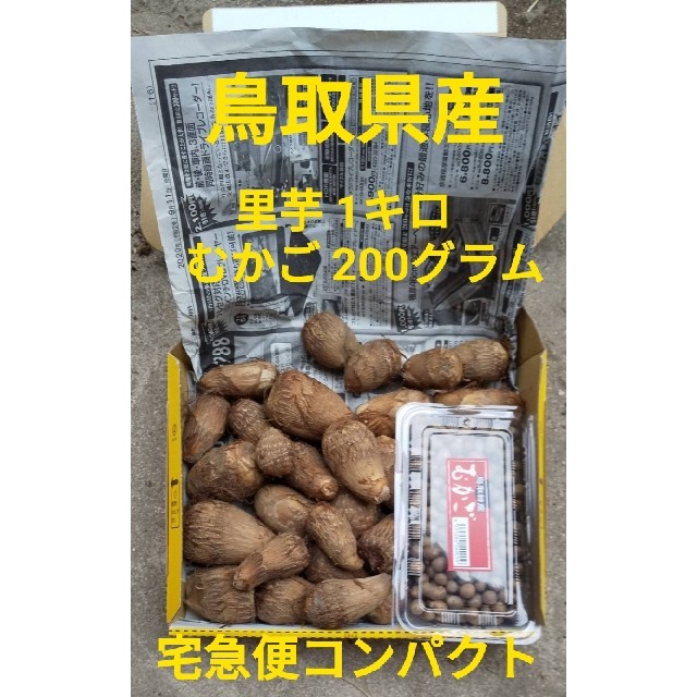 【鳥取県産】里芋(大和芋)1キロ むかご200グラム 宅急便コンパクトいっぱいの通販 by たっちゃん農園's shop｜ラクマ