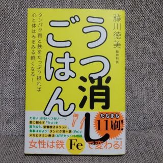 うつ消しごはん タンパク質と鉄をたっぷり摂れば心と体はみるみる軽く(健康/医学)