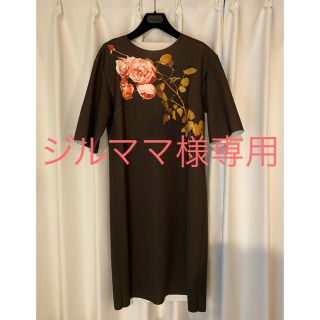 ドリスヴァンノッテン(DRIES VAN NOTEN)のDries Van Noten(ひざ丈ワンピース)