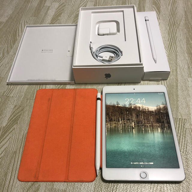 AppleiPad mini 5 wifi 256GB セット