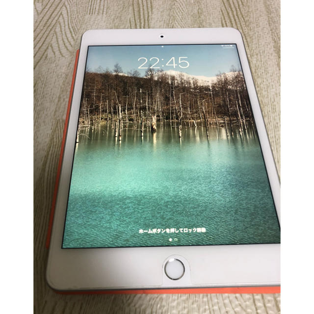 iPad(アイパッド)のiPad mini 5 wifi 256GB セット スマホ/家電/カメラのPC/タブレット(タブレット)の商品写真