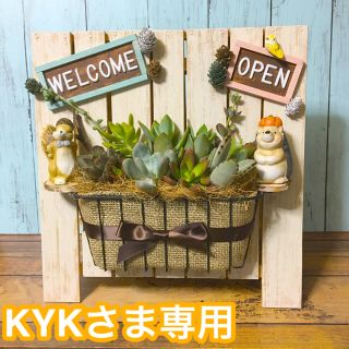 KYKさま専用　多肉植物の寄せ植え　お任せウェルカムボード(特大)(その他)