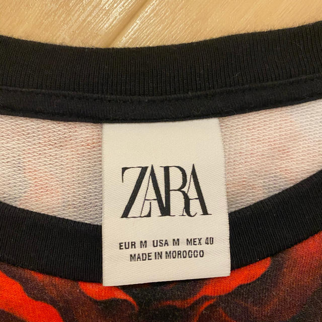 ZARA(ザラ)のZARA MAN 花柄　ボタニカル　スエット　M 40 メンズ メンズのトップス(スウェット)の商品写真