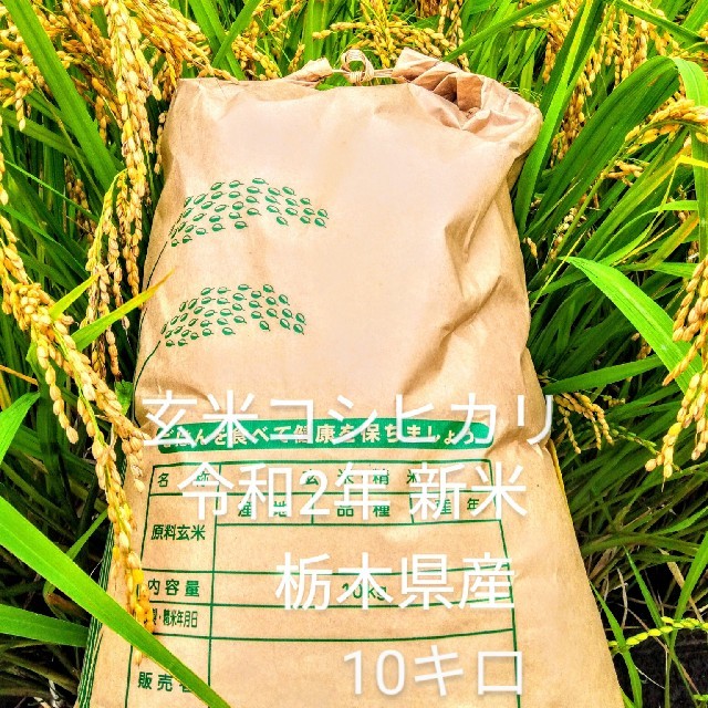 新米コシヒカリ玄米10キロ令和2年