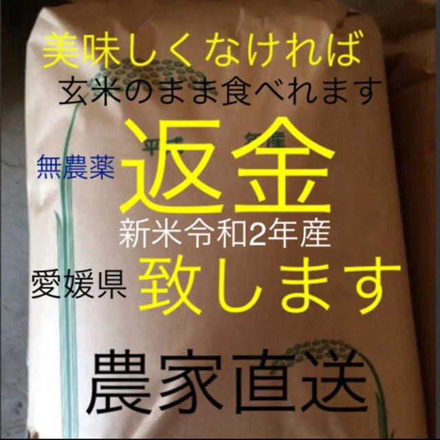 かずちゃん米　無農薬　玄米　新米純こしひかり30㎏　米/穀物